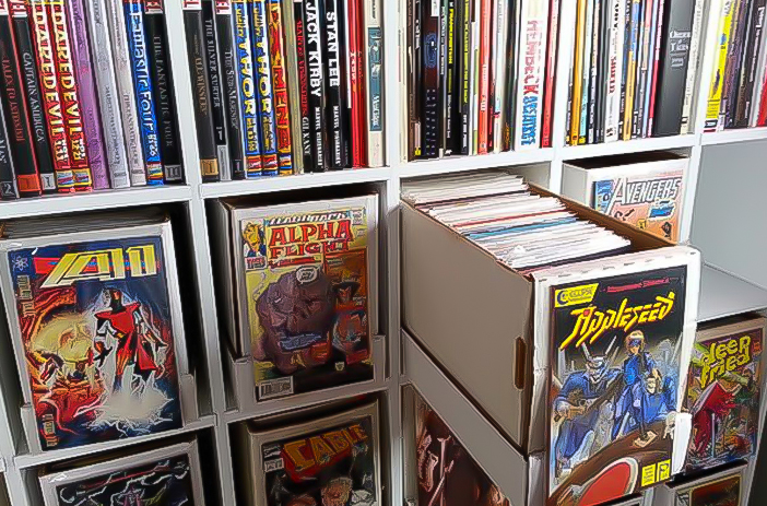 Steps for Organizing Your Comic Book Collection